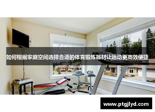 如何根据家庭空间选择合适的体育锻炼器材让运动更高效便捷