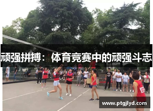 顽强拼搏：体育竞赛中的顽强斗志