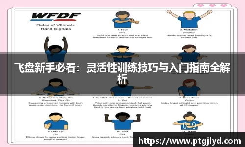 飞盘新手必看：灵活性训练技巧与入门指南全解析