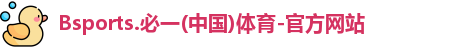 B体育官网
